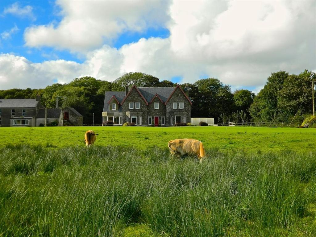 Lake House Dunmanway Exterior photo