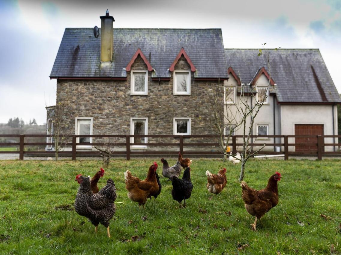 Lake House Dunmanway Exterior photo